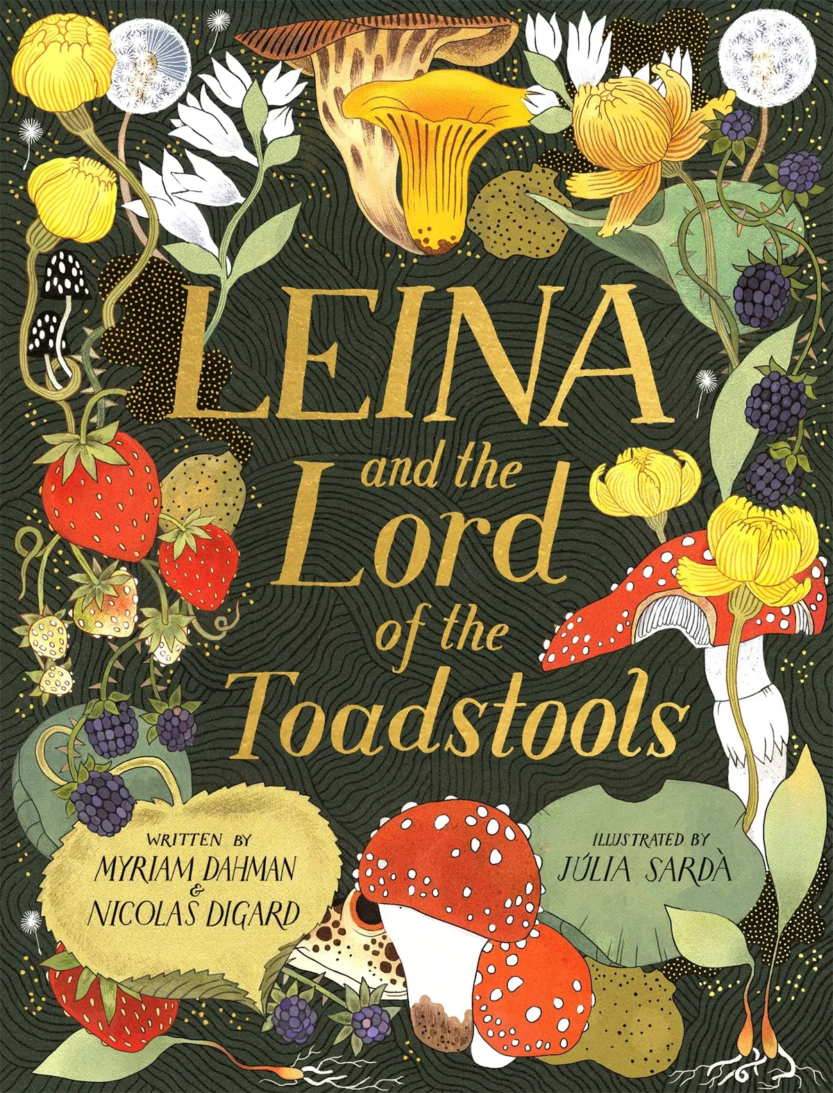 Cover of Leina and the Lord of the Toadstools