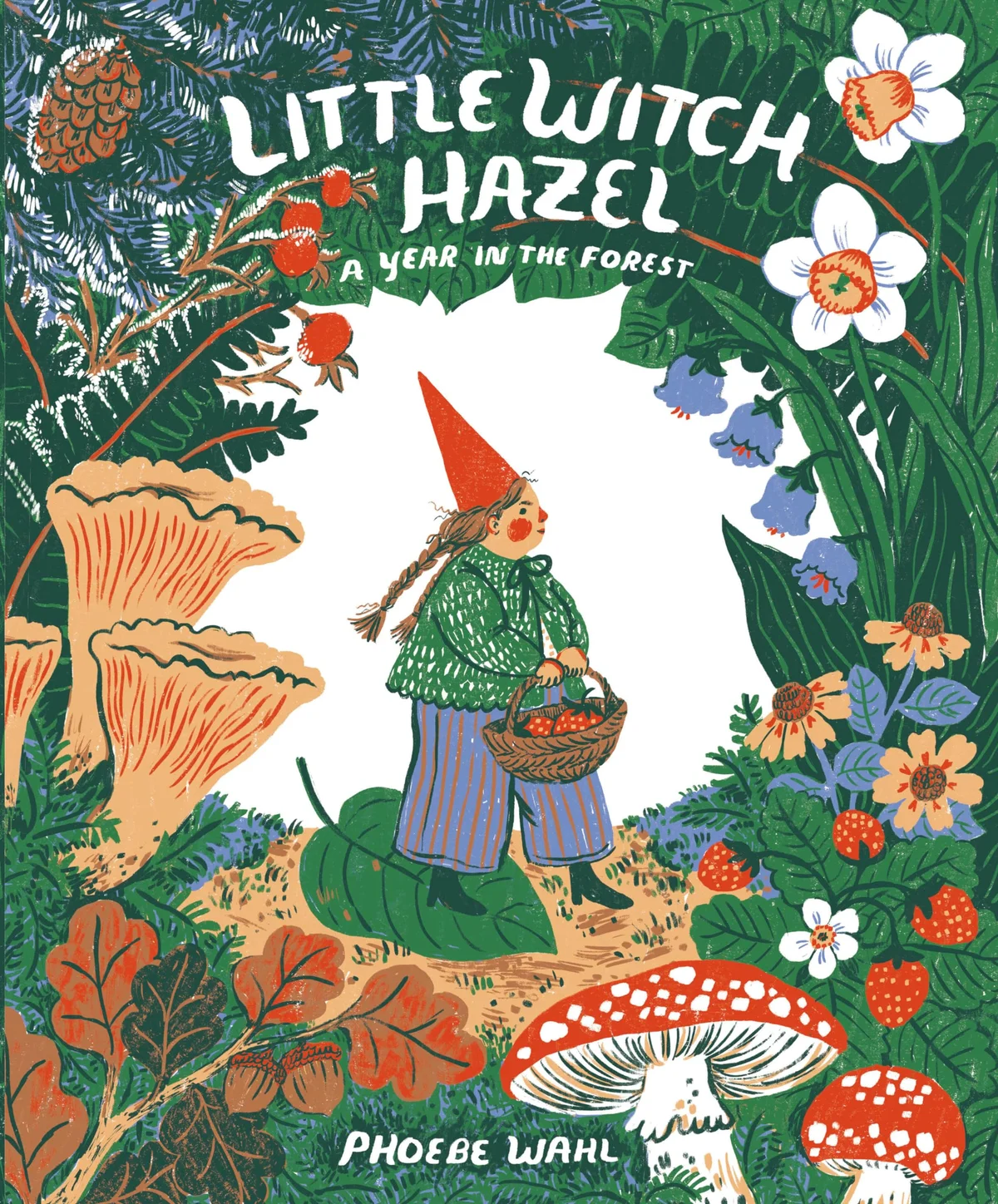 Cover of Little Witch Hazel