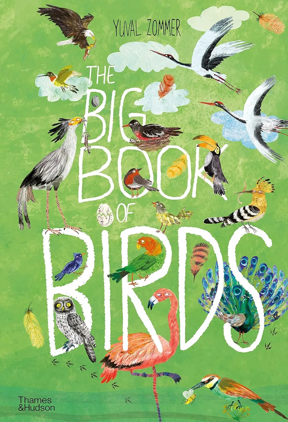 Cover of The Big Book of Birds
